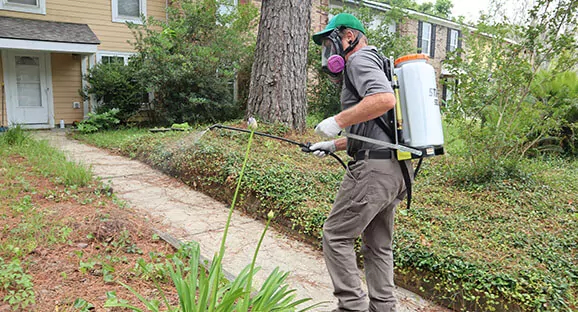 Service detail image 1 2