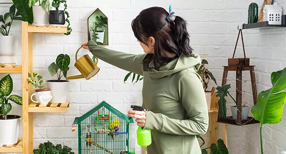 Service detail image 12 2