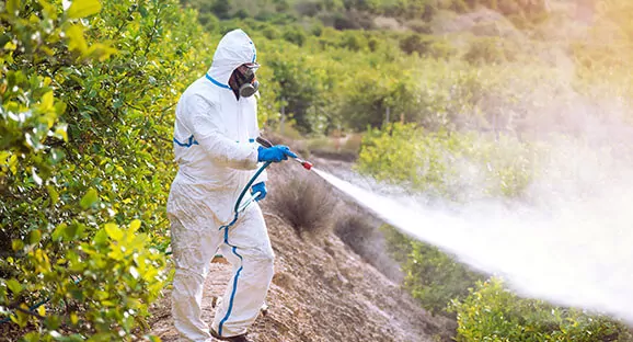 Service detail image 2 2