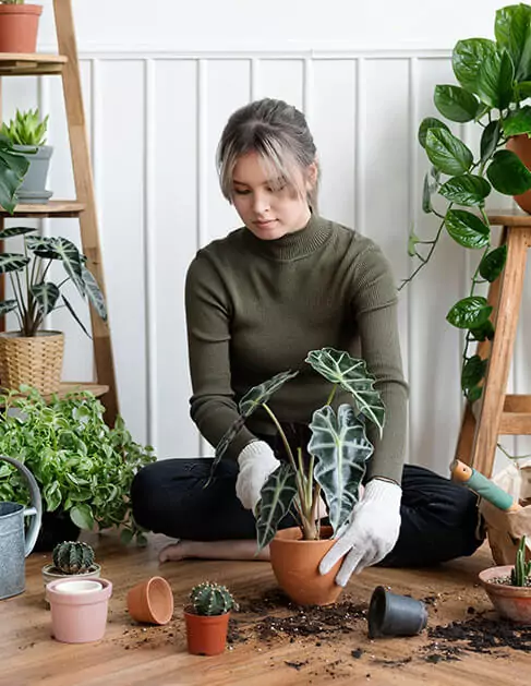 Service main imaage 2 2