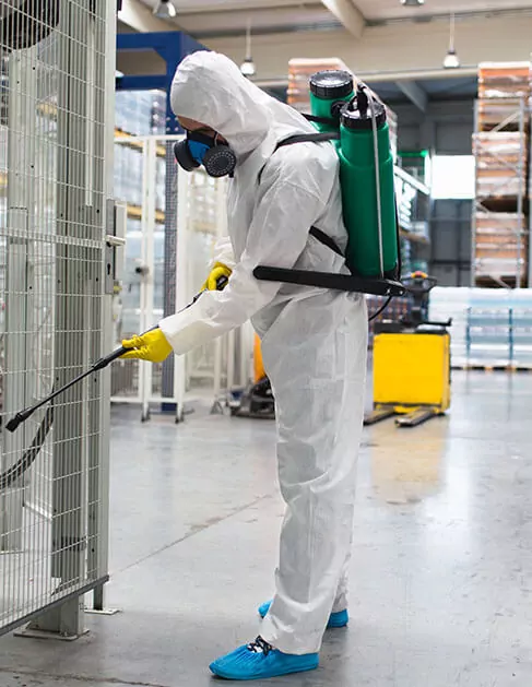 Service main imaage 5 2